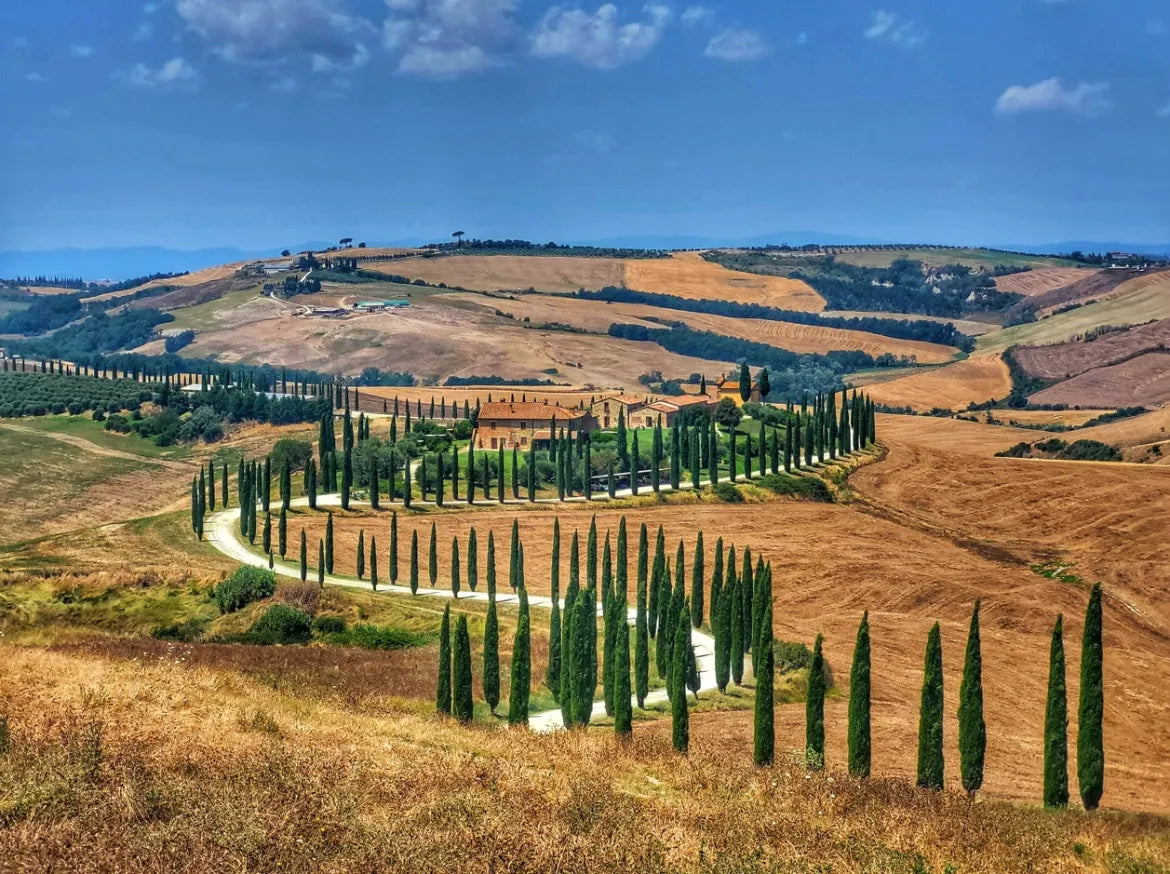 🍷 VAL D’ORCIA + SIENA + SAN GIMIGNANO – 2 DAYS ESCAPE